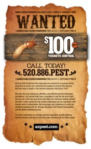 Tucson Termites