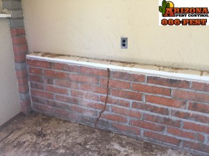 Tucson Termite Control