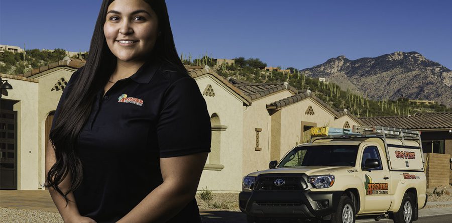 Importance of Tucson Termite Warranty and Annual Termite Inspections in Tucson and Surrounding Areas