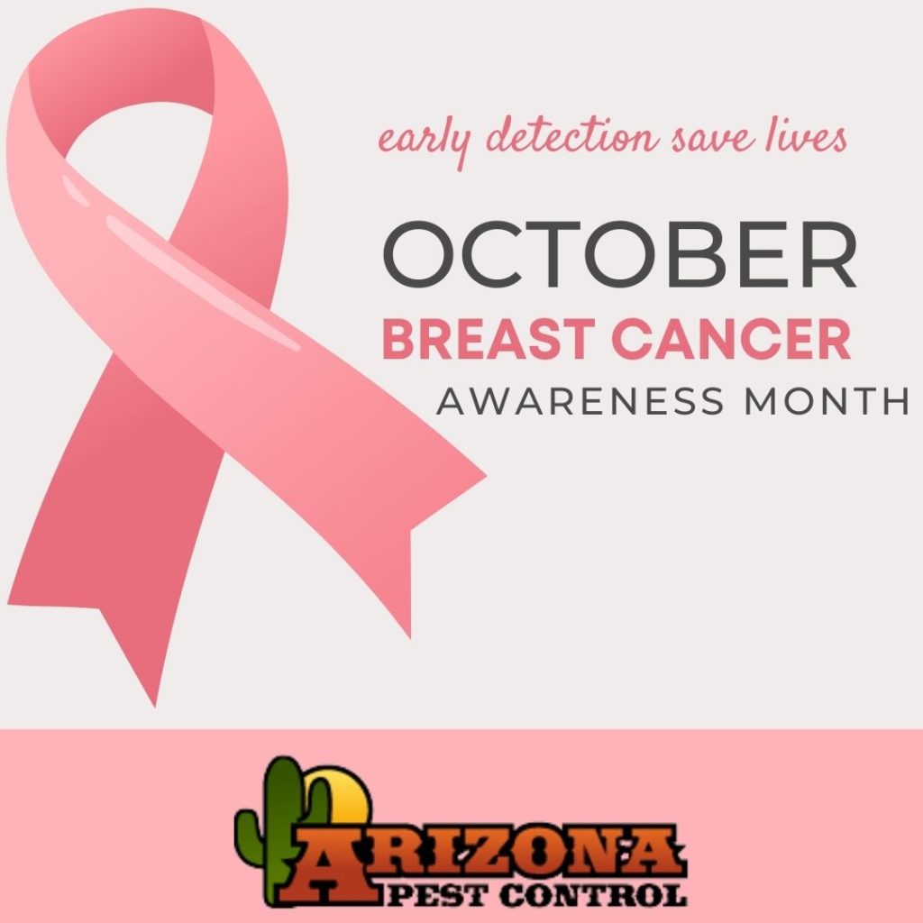 Pink October Breast Cancer Awareness Month Instagram Post