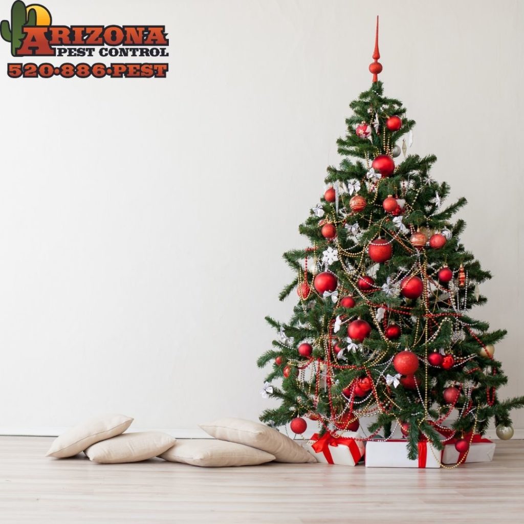 Tucson Arizona Pest Control Arizona Pest Control Tucson Pest